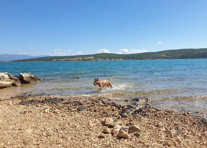 Appartement Pintadesol By Interhome *